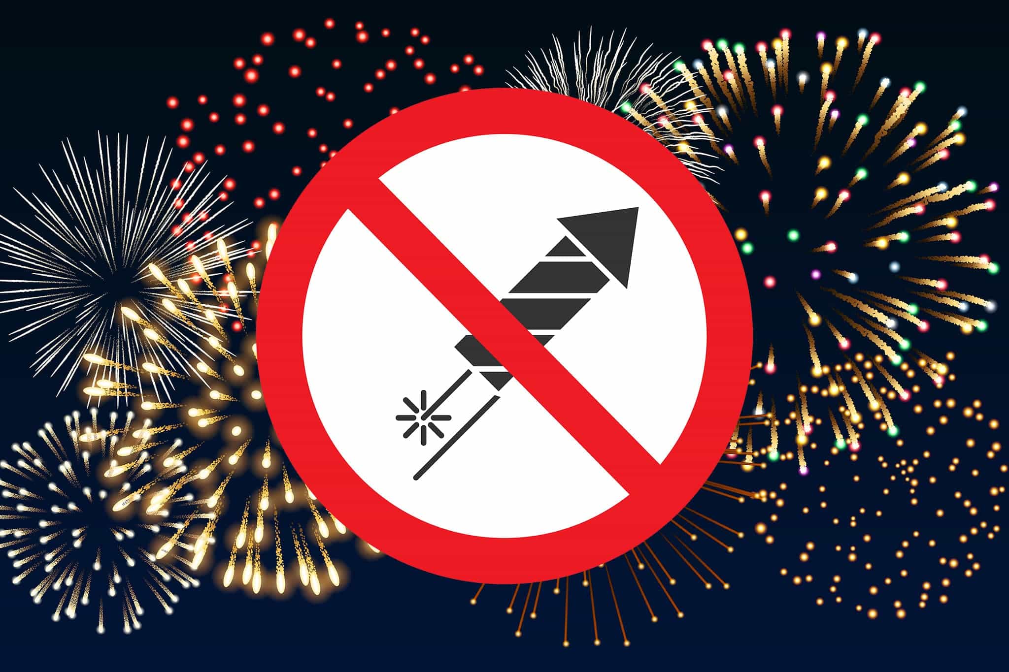 New Year’s Eve with a dog: firecracker-free campsites and tips for less stress