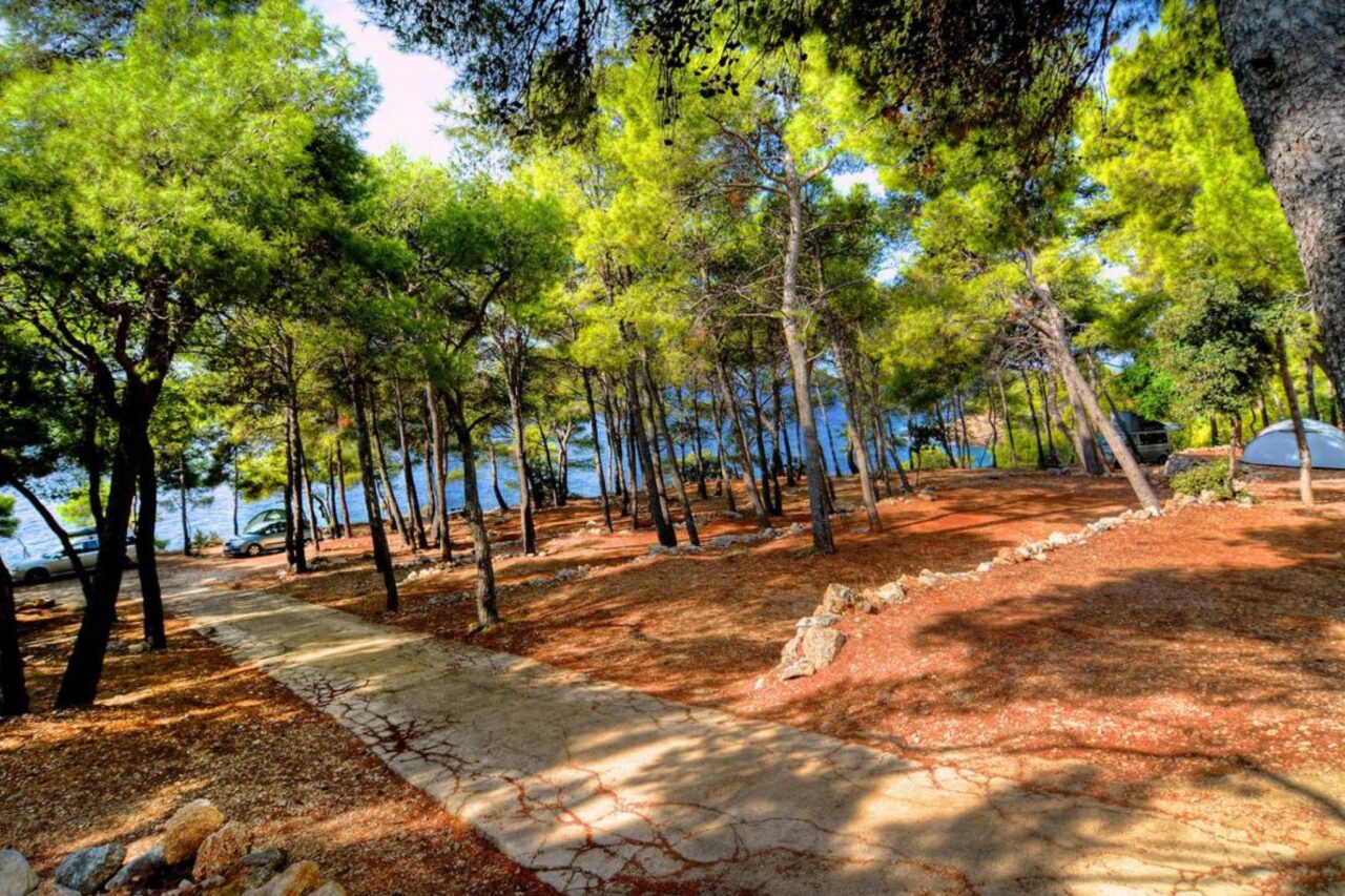 Campsites Dalmatia - A beautiful campsite in the middle of the pine forests and right by the sea. © camping.info