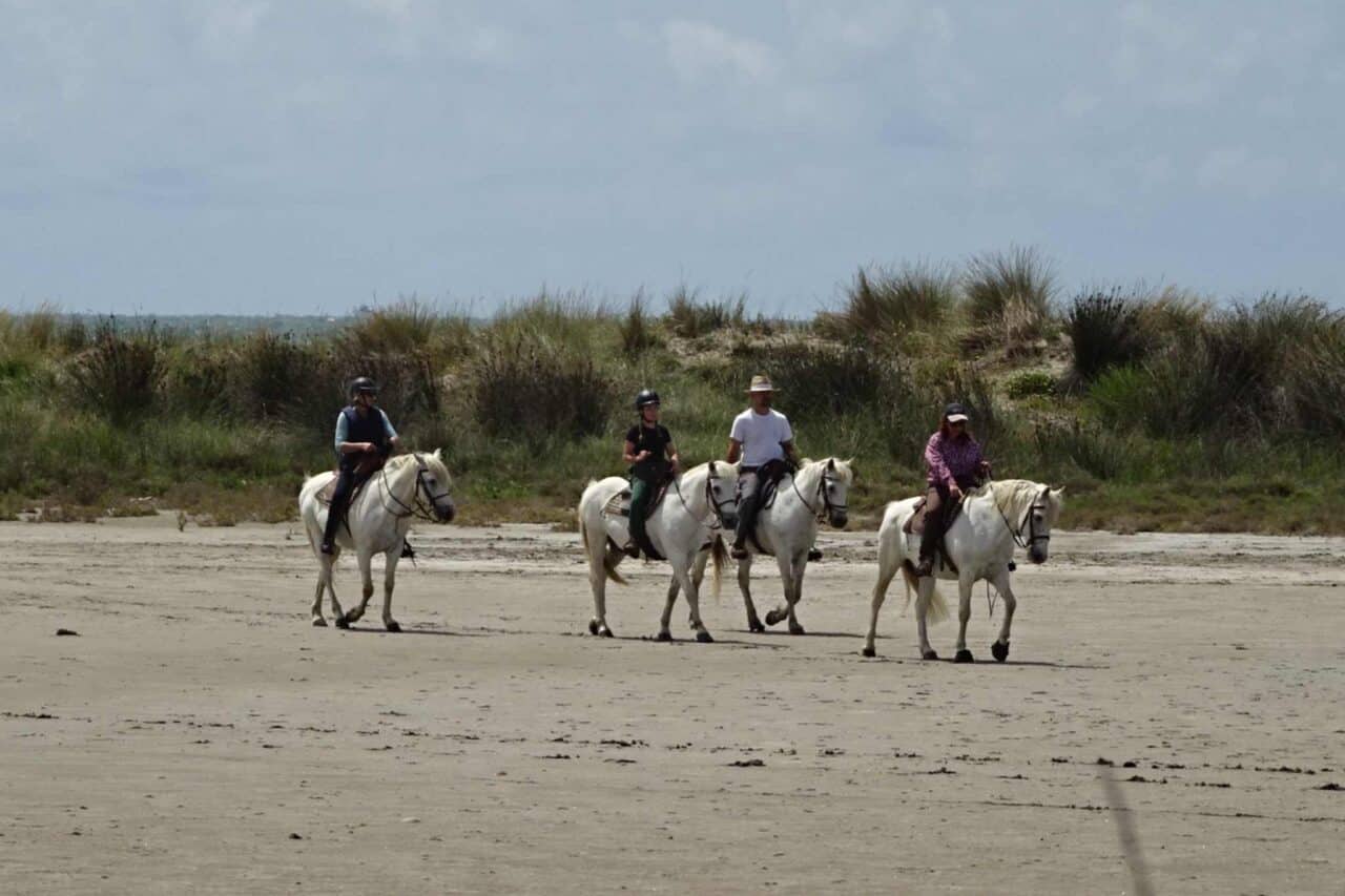 Camargue Camping - Horses