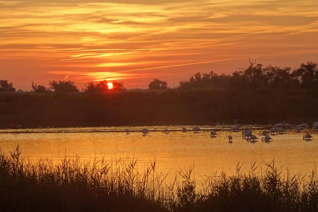 Camargue Camping - Sunset