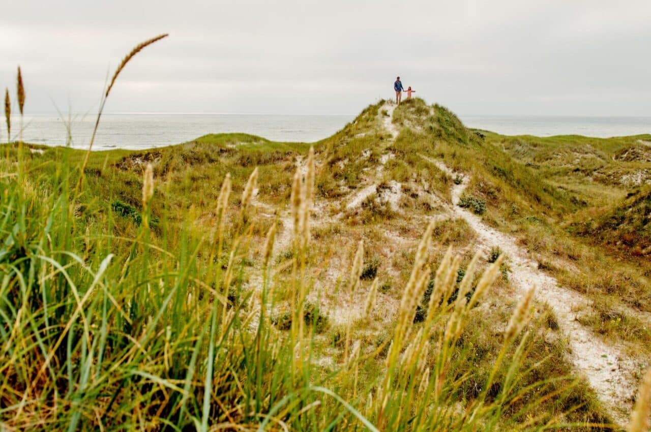 Denmark Rentals Nature