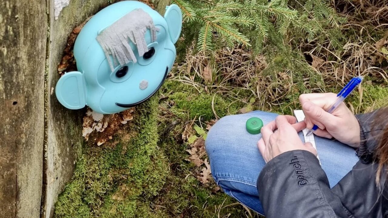 Geocaching as an outdoor game with children when camping