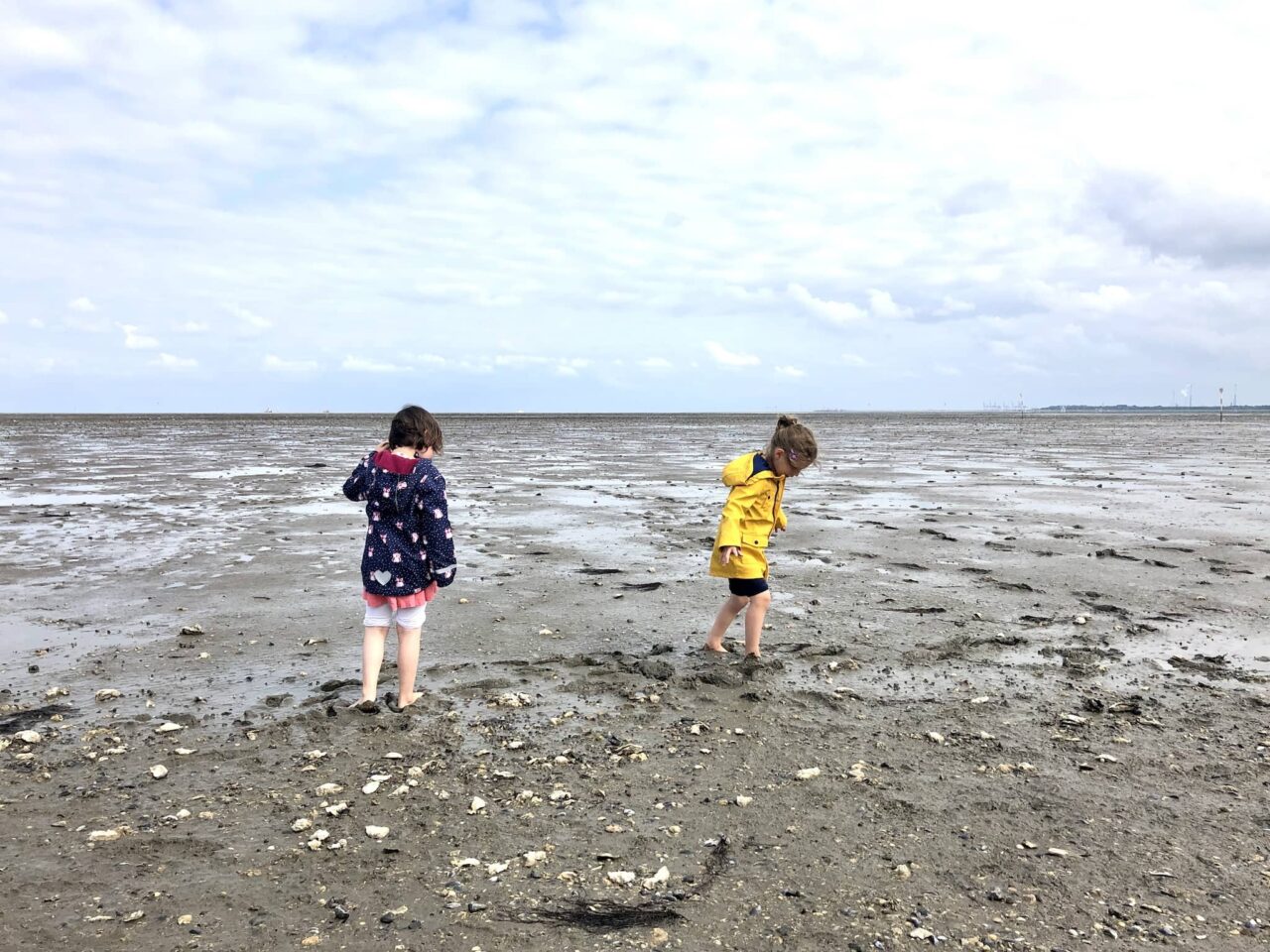 Collecting shells as an outdoor game with children
