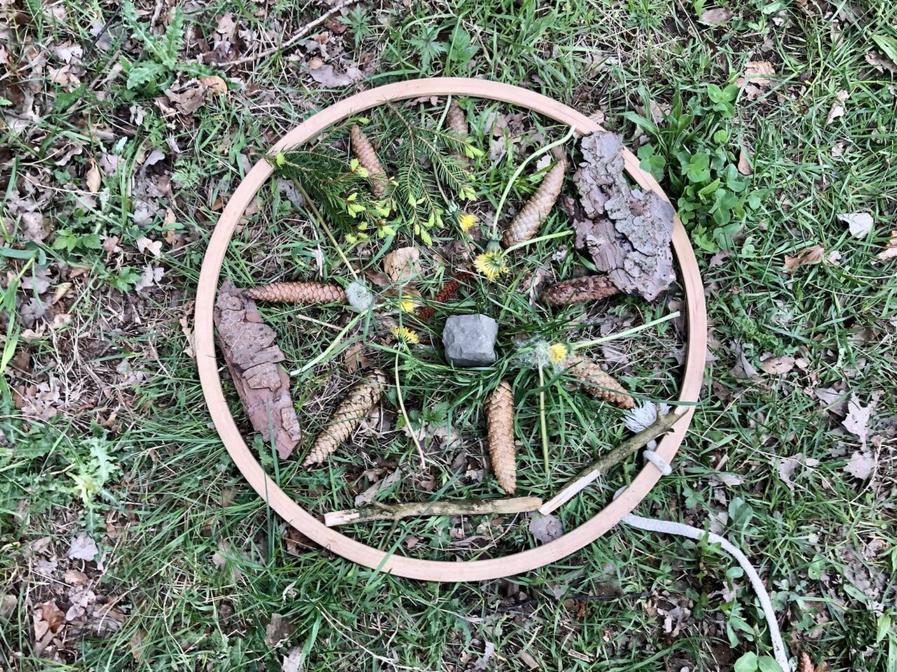 Forest mandala at a forest Olympics as a children's game